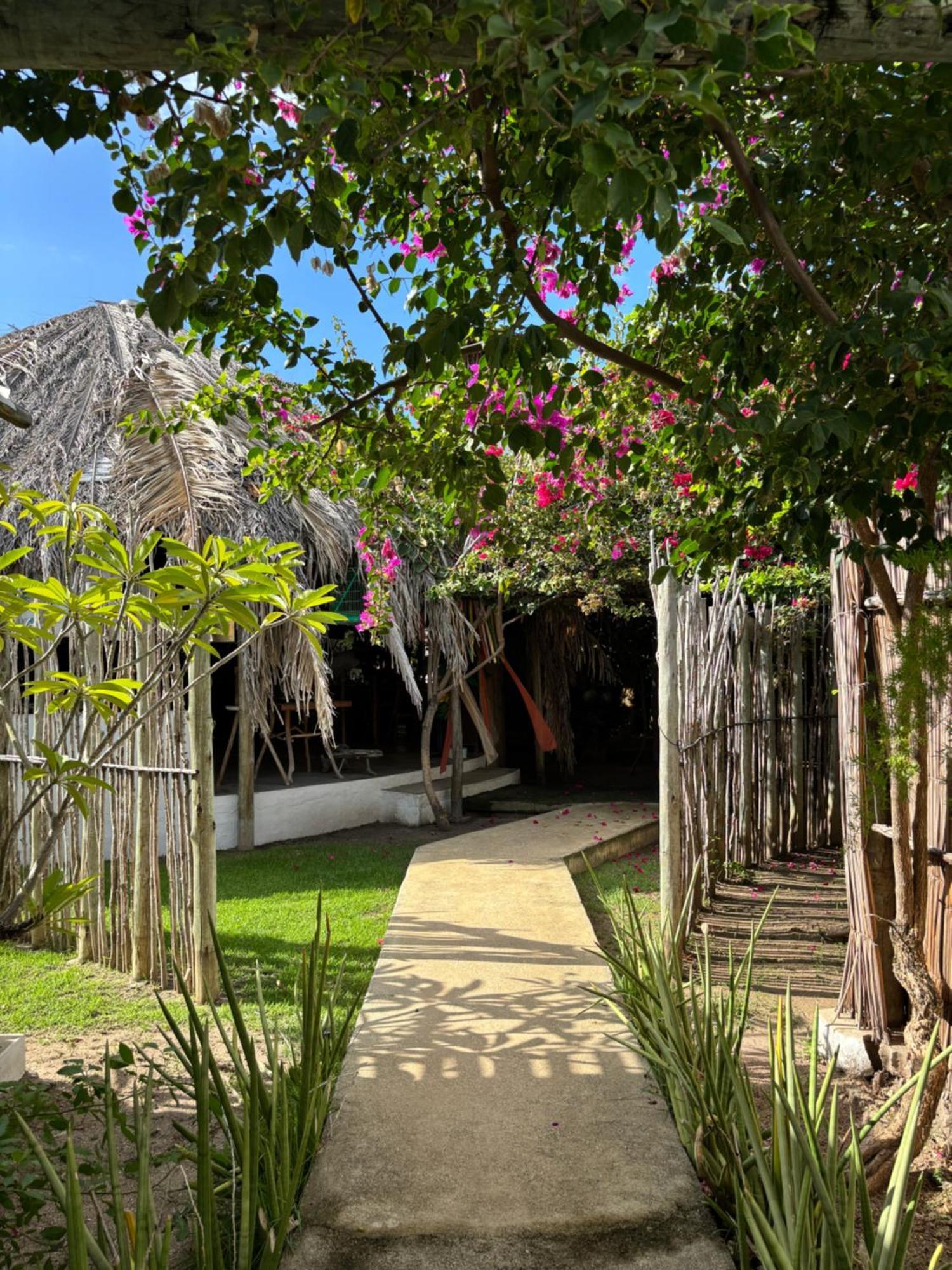 Pousada Casa Branca Porto de Pedras Ngoại thất bức ảnh